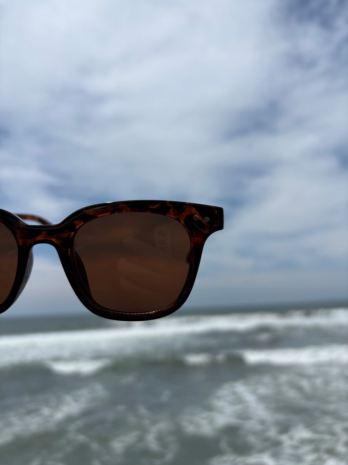 Wide Brown Sunglasses