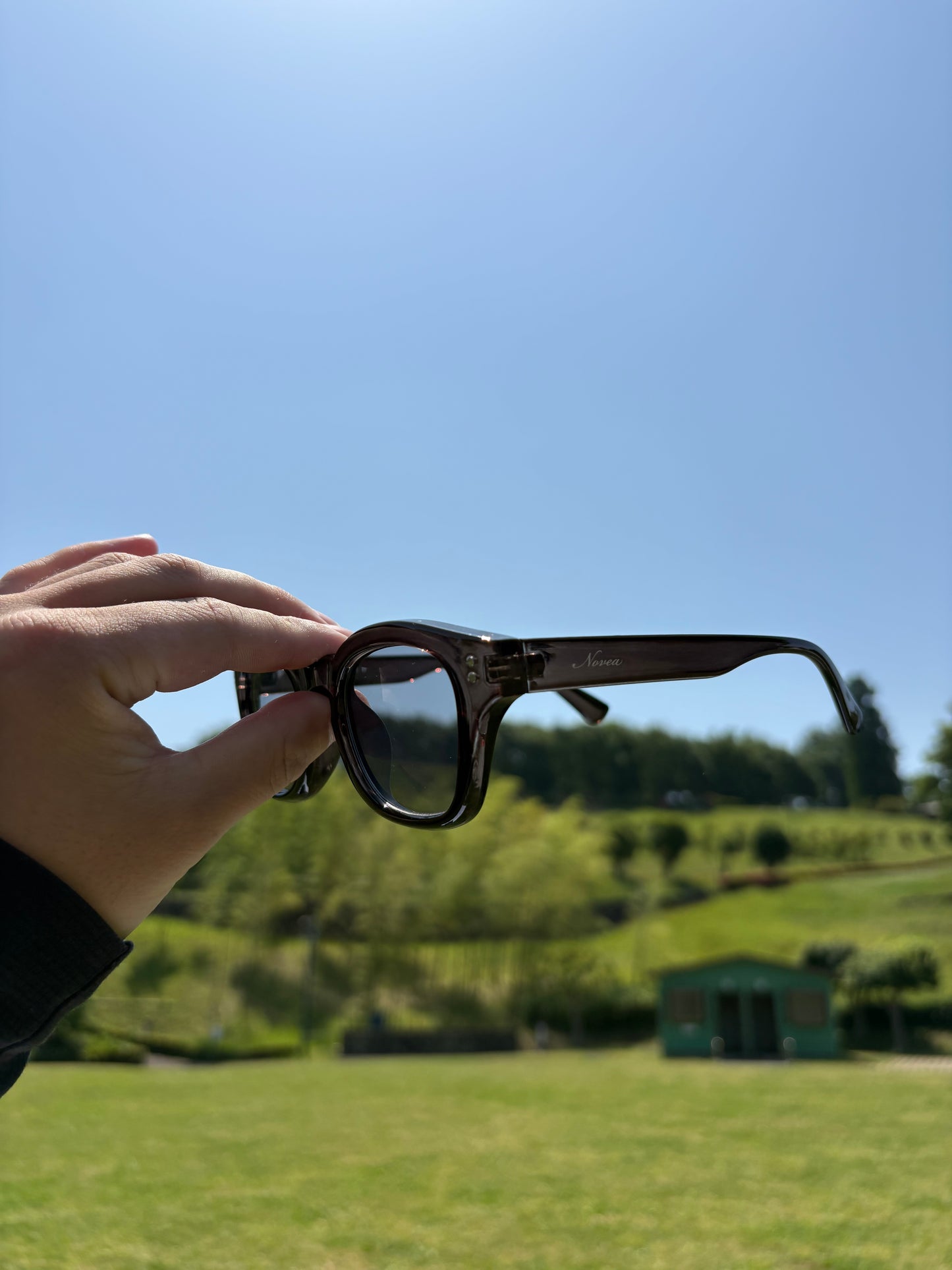Novea Original Clear/Light Smoke Sunglasses
