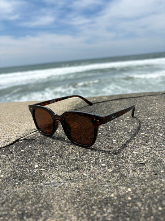 Wide Brown Sunglasses