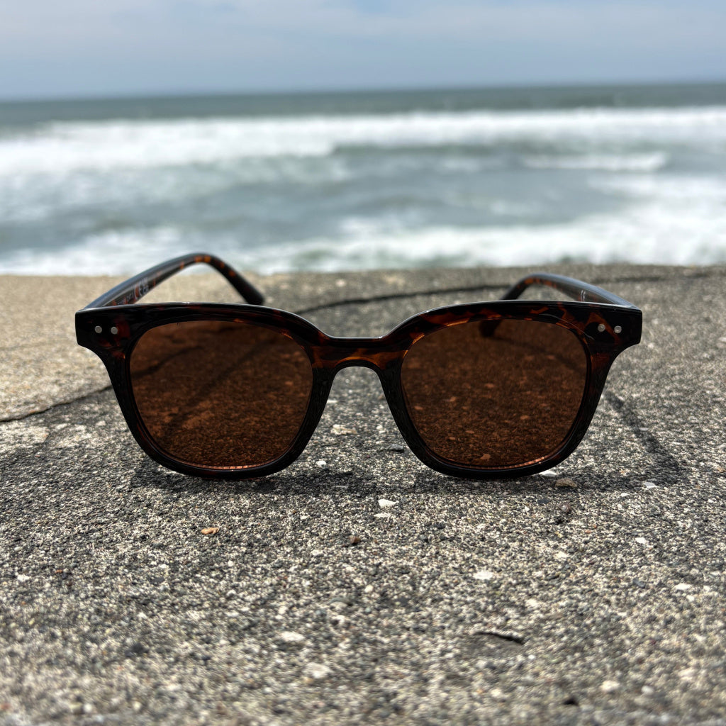 Wide Brown Sunglasses 商品写真